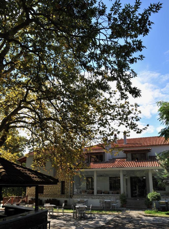Κonitsa Gefyri Hotel Konitsa Exterior photo